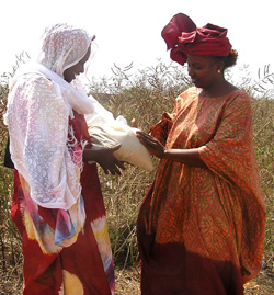 Aya Ndiaye and Bineta Coly Gueye of Wula Nafaa examine the quality of a sack of fonio.