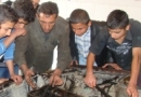 Young men learn about engines during a WCL auto mechanics training session.