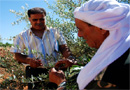 Shamam Al Nasser (left) and Abdallah Ali Obeid exchange olive-farming experiences and techniques after an SRF workshop in southern Lebanon.