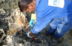 Worker uses a hammer and chisel to manually remove stubborn dried tar pieces in Deir El Natour.