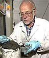 Photo of EPA scientist sorting animals from a sediment core