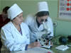 A laboratory technician is trained to identify the malaria parasite in human blood cells