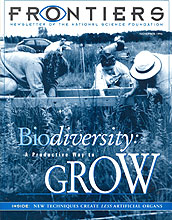 November 1996 Frontiers cover, Biodiversity: A Productive Way to Grow
