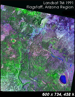 [Image: Landsat TM Image of Northern Arizona]