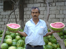 A wholesaler who had been importing watermelons inspects his order from a local farmer he found through USAID.
