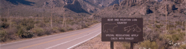 Now entering bear and mountain lion country