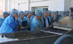 Moldovan dried fruit and vegetable producers observe a Uniferax-Grup washing machine during a study tour.  These machines have met Western standards, giving firms a chance to now enter new markets.