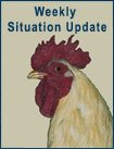 Weekly Situation Update