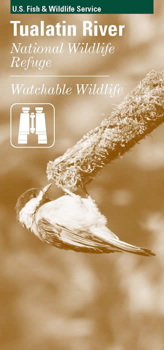 Wildlife brochure cover