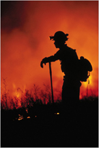 Firefighter at dusk with forest fire in the background