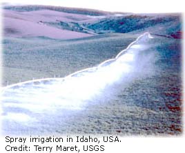 Picture of a spray irrigation system. 