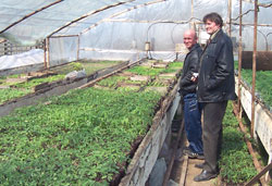 Photo of: Mykola in greenhouse. 