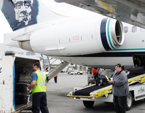 Inspector monitoring the loading of luggage onto an airplane