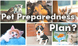 Pet Preparedness