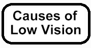 Eye Conditions Cause Low Vision
