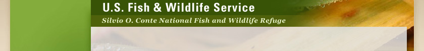 Silvio O. Conte National Fish & Wildlife Refuge header