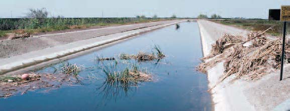 Photo of an agricultural drainage waterway