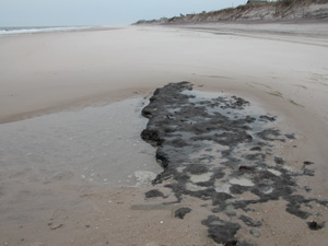 Exposed black peat is uncovered on ocean beach.