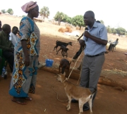 Kitgum LC V Chairman John Ogwok presents a goat at the appreciation ceremony in Padibe.