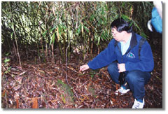 Researcher pointing to the ground