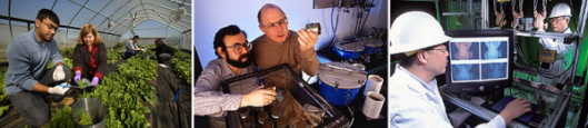 series of three photos of EMFSL scientists at work