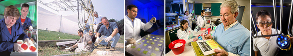 series of five photos of EMFSL scientists at work