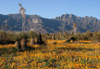 San Andres National Wildlife Refuge, New Mexico © 1994 M. Weisenberger, FWS