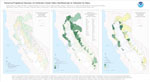 Historic Population Structure of Central Valley California Steelhead and its Alteration by Dams