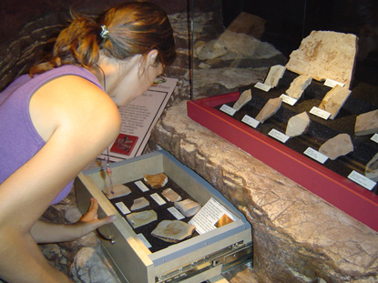 Image of a visitor exploring the museum.