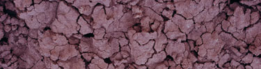 Up close view of the soil at painted the Painted Hills