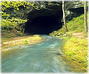 Billedet viser et vandløb, som løber ind i en grotte i det sydlige Georgia, USA, og er et eksempel på at et vandløb kan fungere som en tragt direkte ned i grundvandet..