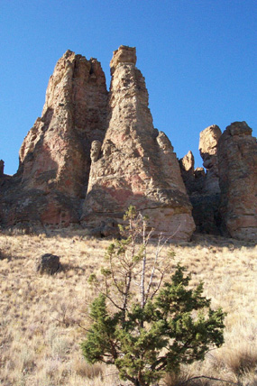 Image of the Clarno Palisades.