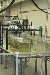 Drinking Water Research - Cincinnati, Ohio