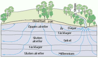 Diagrammet visar hur nederbörd sipprar ner i marken. 