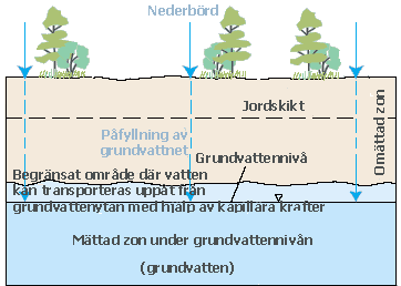 Drawing showing how surface water infiltrates into the ground to be stored in aquifers. 