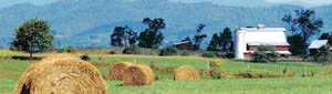 Appalachian Farming Systems Research Center, Beaver, WV Site Logo