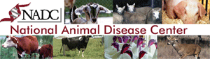 Respiratory Diseases of Livestock Site Logo