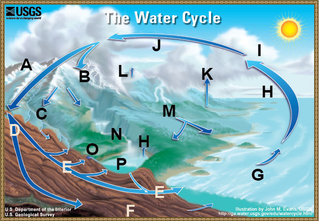 Diagram of the water cycle without the terms.