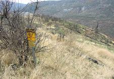 Image of grass on a hillside