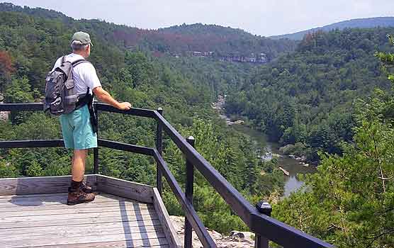 Park Visitor at Overlook