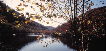 Early autumn at the Obed Wild and Scenic River