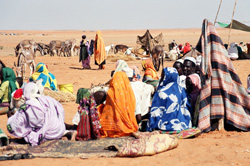 New arrivals at Al Salaam camp, in Sudan’s North Darfur region, make temporary shelters out of household goods they were able to carry with them.