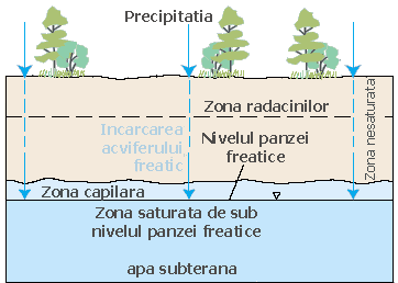 Diagrama care prezinta modul cum apa de suprafata se infiltreaza in sol si se acumuleaza in acvifere. 