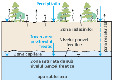 Diagrama care prezinta modul cum precipitatia se infiltreaza in sol. 