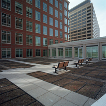 Potomac Yard Exterior with Benches
