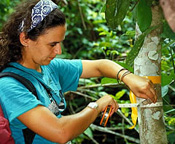 NMNH staff member Debbie Bell at work in the rainforest
