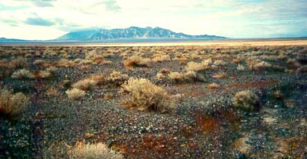 Funeral Mountains
