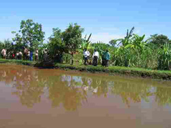 One of Osman Mohammed’s five fish ponds in Mchengawede, in Malawi’s southern Zomba district.