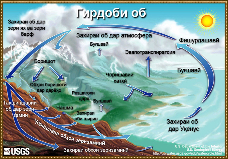 Diagram of the water cycle. 