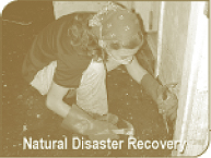 Natural Disaster Recovery - Fungi